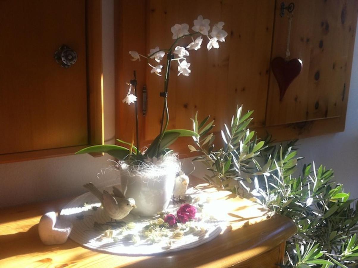 Pension Und Apartment Edelweiss Heiligenblut Exteriör bild